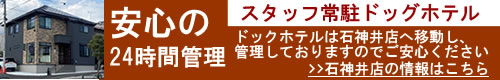 24時間スタッフ常駐ドッグホテル