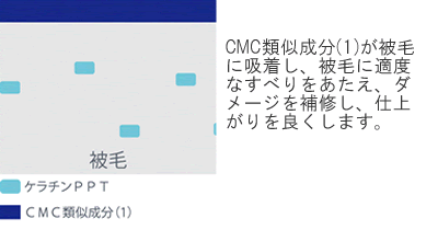 CMC類似成分が被毛に吸着